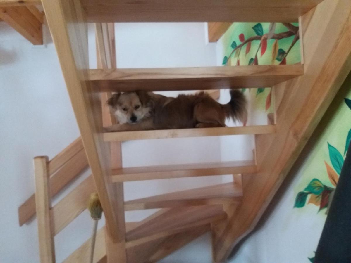 Domek Jaska Baligród 외부 사진